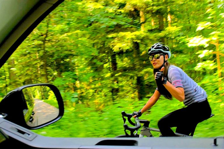 Black Forest Germany Freiburg im Breisgau