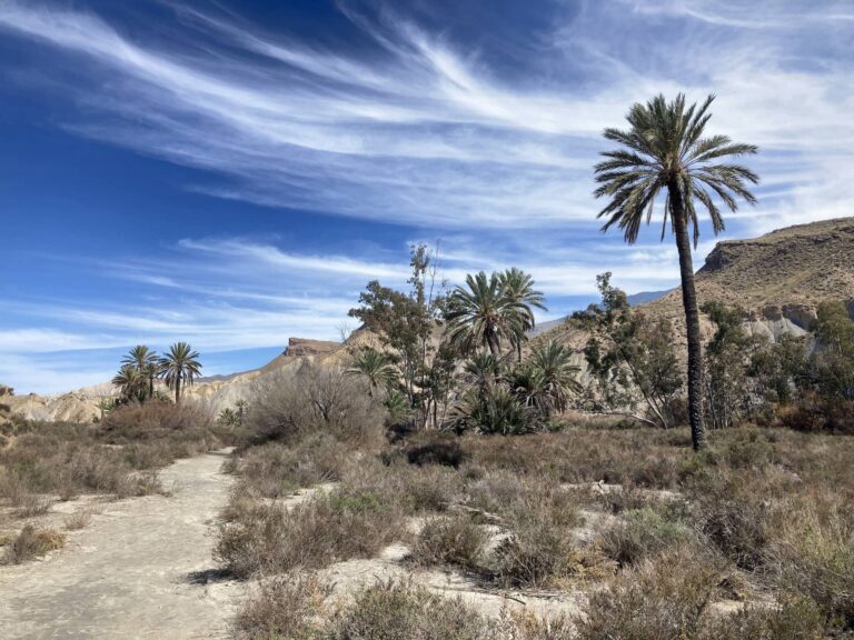 Desert Tabernas Andalusia Spain