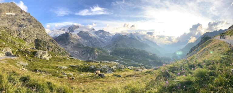 Swiss Alps bike tour