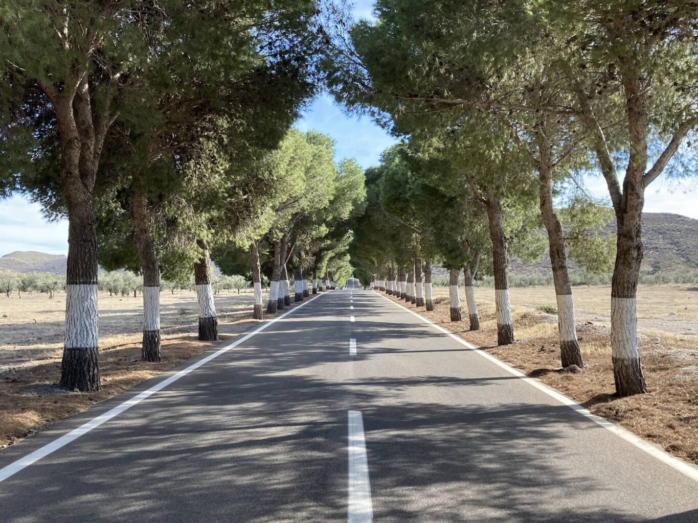 Andalusia Cycling Travel