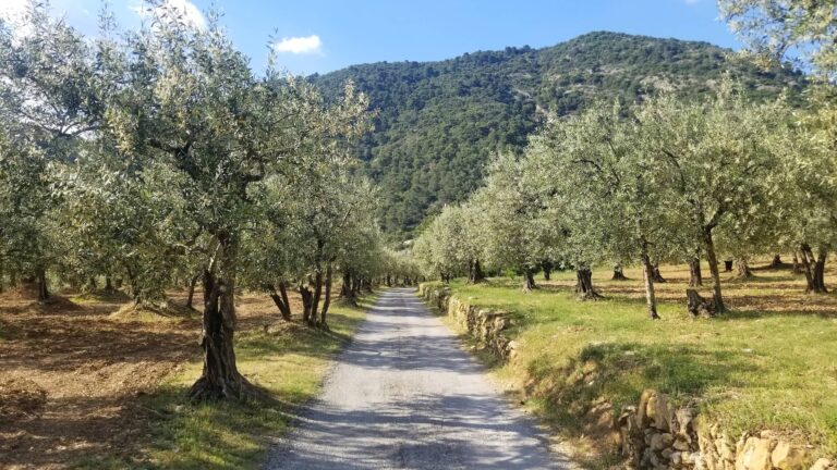 Provence countryside bike ride