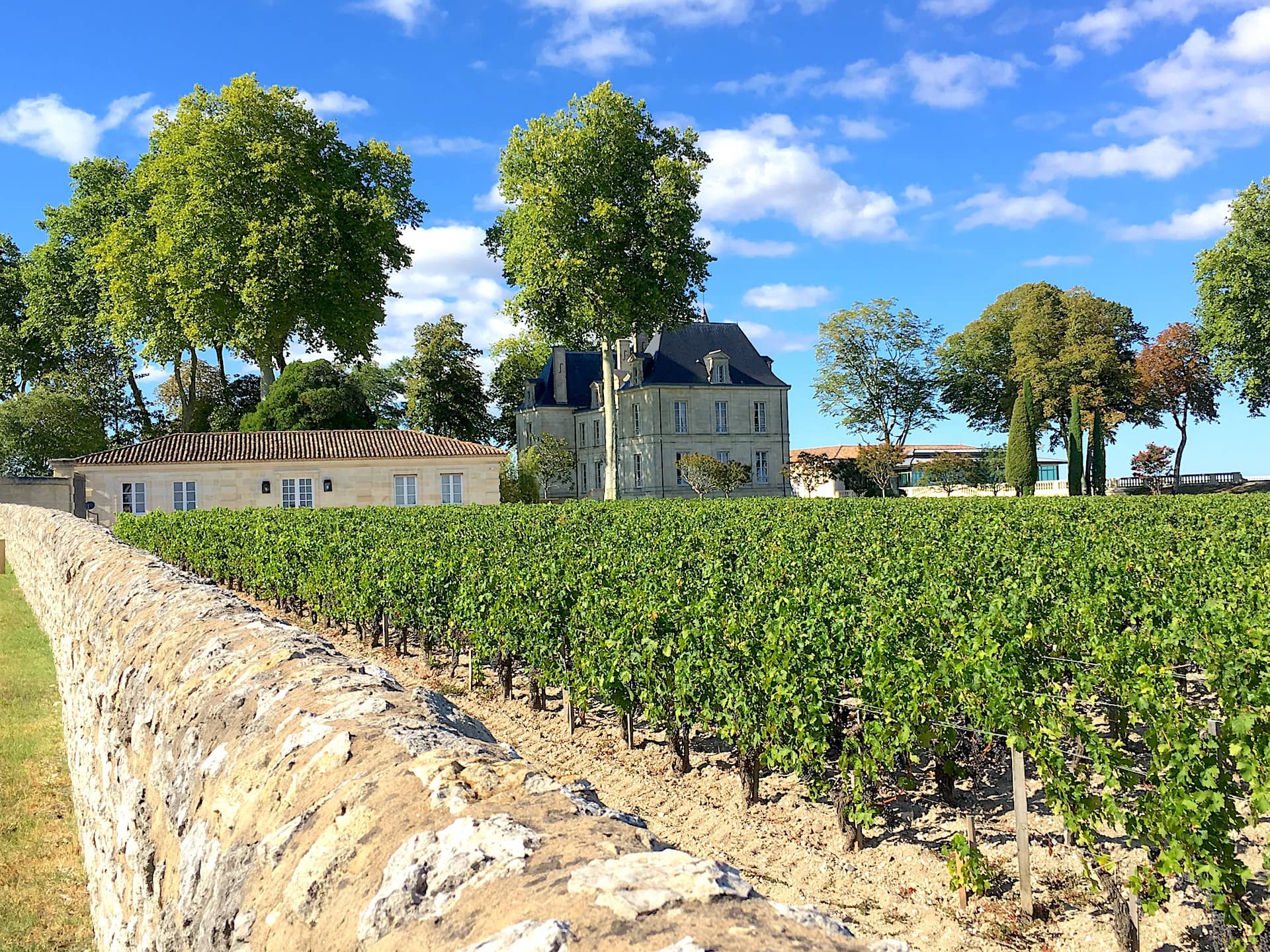 Bordeaux vineyard Medoc bike tour
