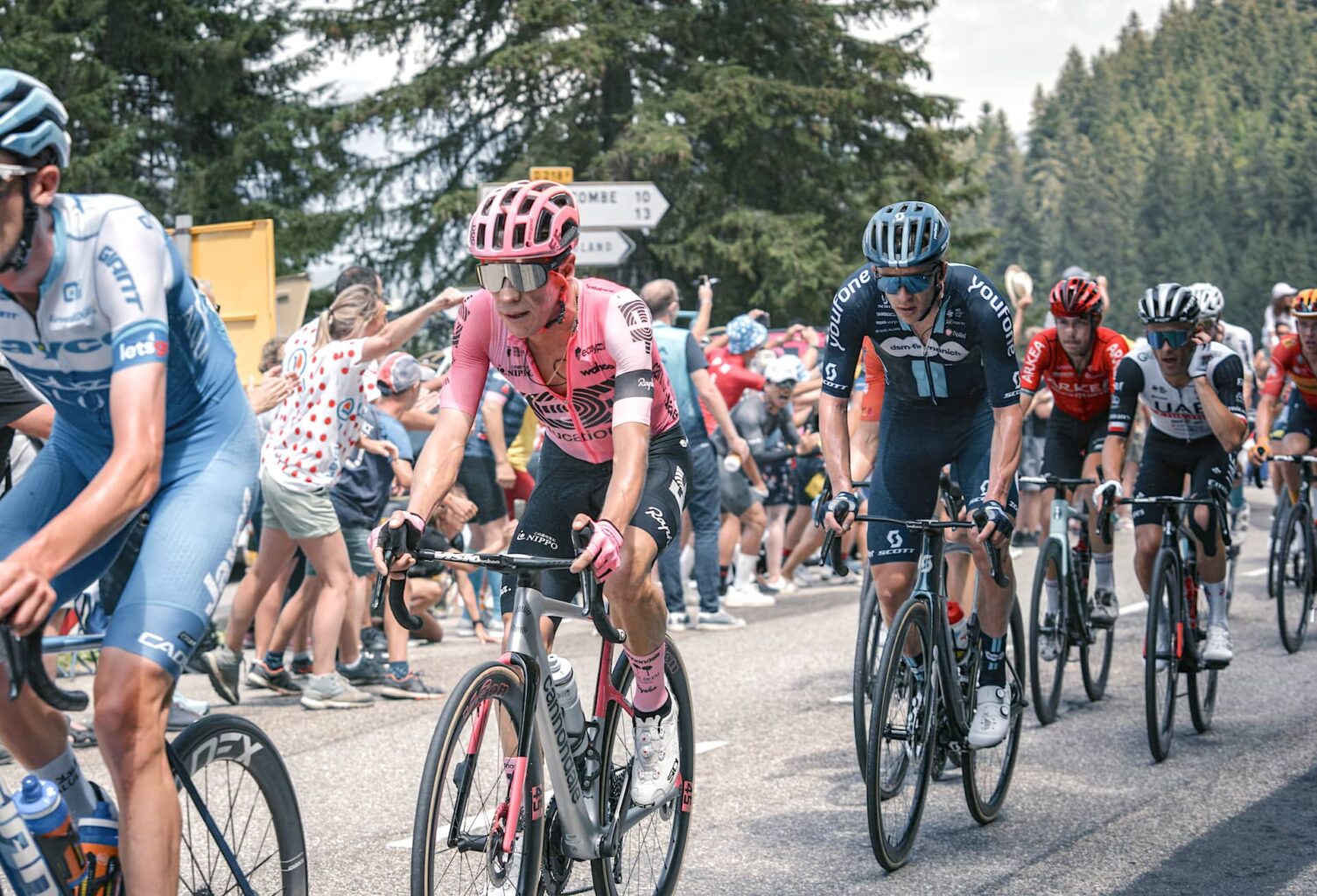 Pro Races & hospitality Bike Tours