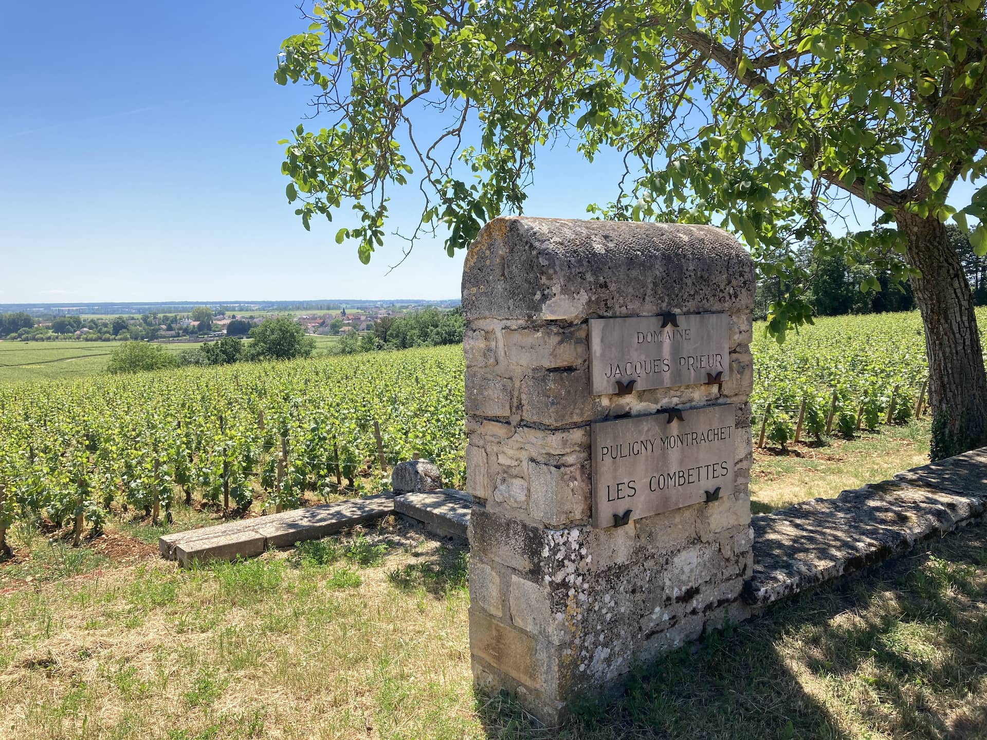 Burgundy vineyard Beaune bike tour