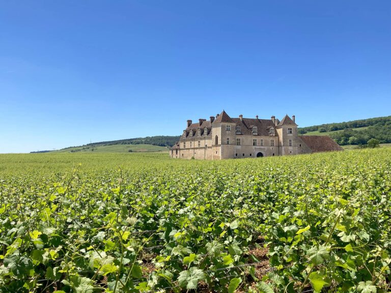 Clos Vougeot Burgundy vineyard bike tour
