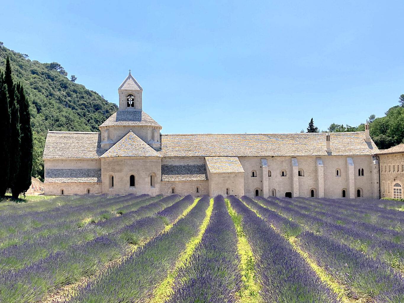 Sénanque Abbey Gordes Provence