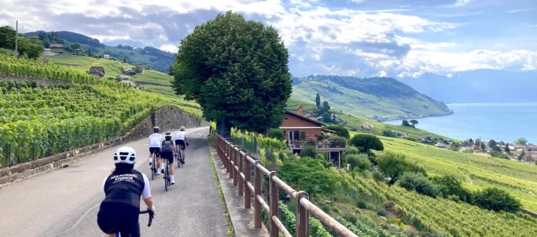 A group of road cyclists riding through the UNESCO-listed Lavaux vineyards overlooking Lake Geneva and the Alps during a Veymont Travel guided tour in Switzerland.