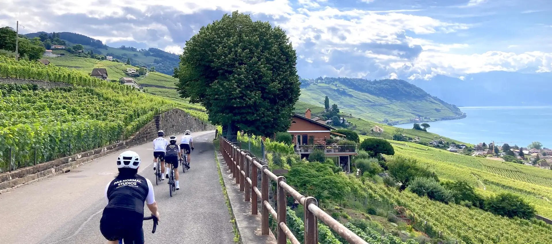 A group of road cyclists riding through the UNESCO-listed Lavaux vineyards overlooking Lake Geneva and the Alps during a Veymont Travel guided tour in Switzerland.