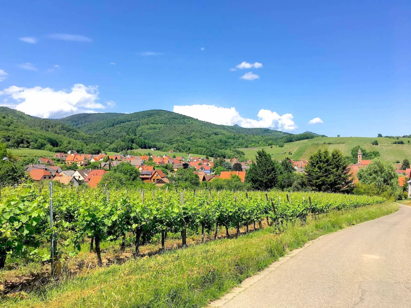 the Alsace Wine Route