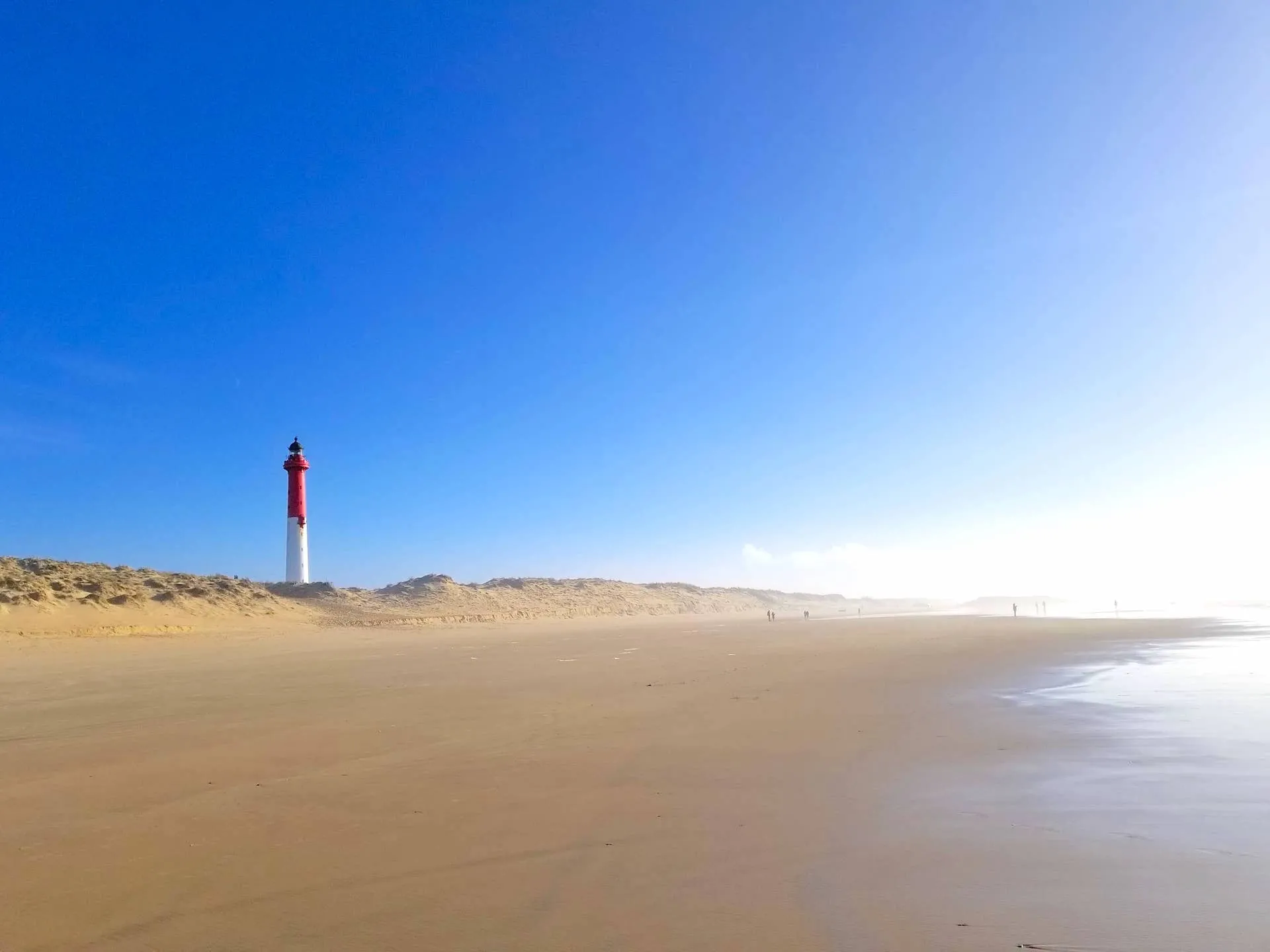 beach on the Atlantic coast in Charente-Maritime