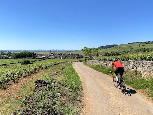 A cyclist traveling with Veymont Travel, cycling through the vineyards of Burgundy with a village in the distance