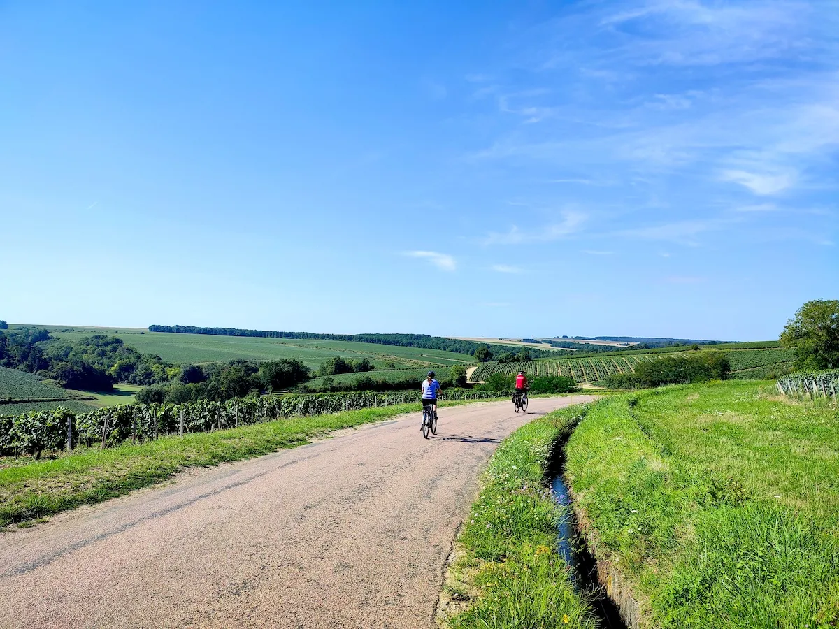 cyclists riding through Burgundy