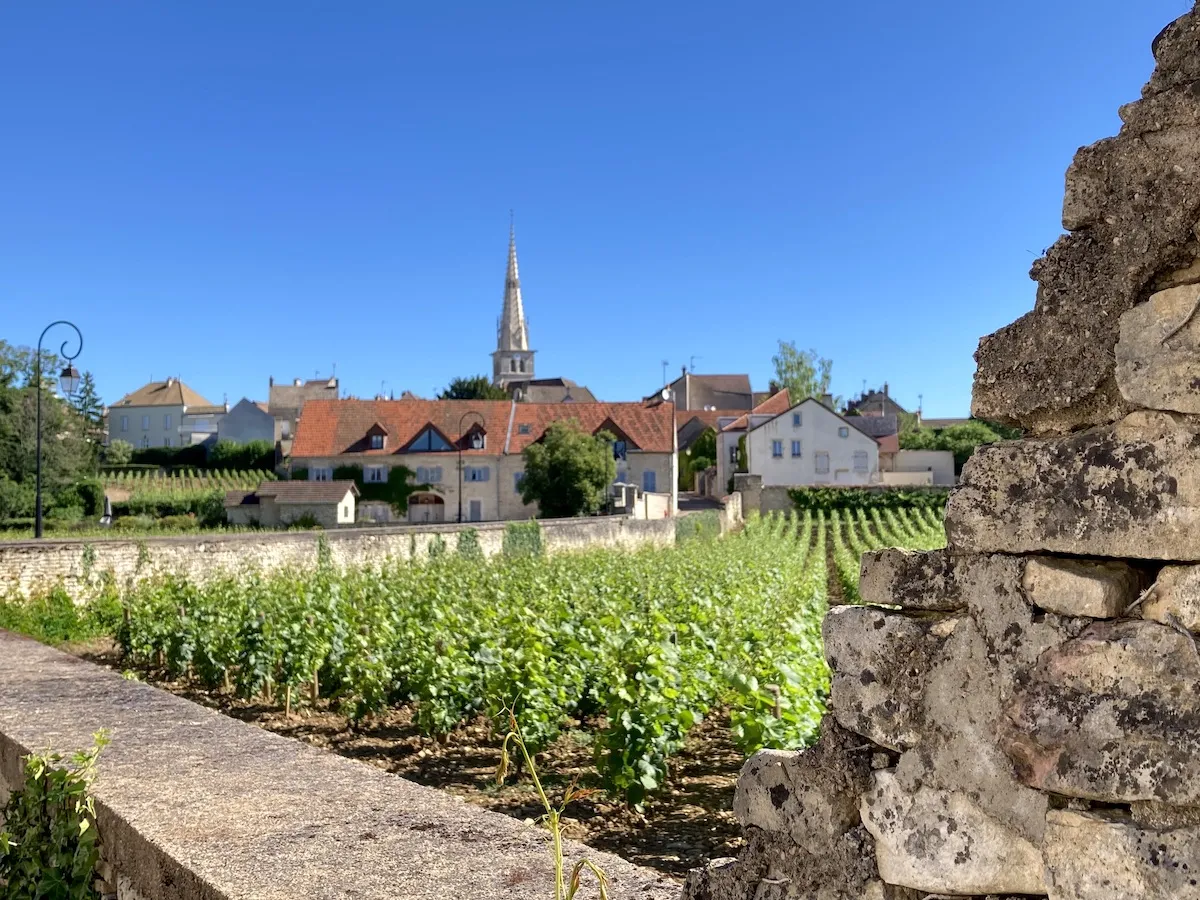 the village of Meursault and its church in Burgundy
