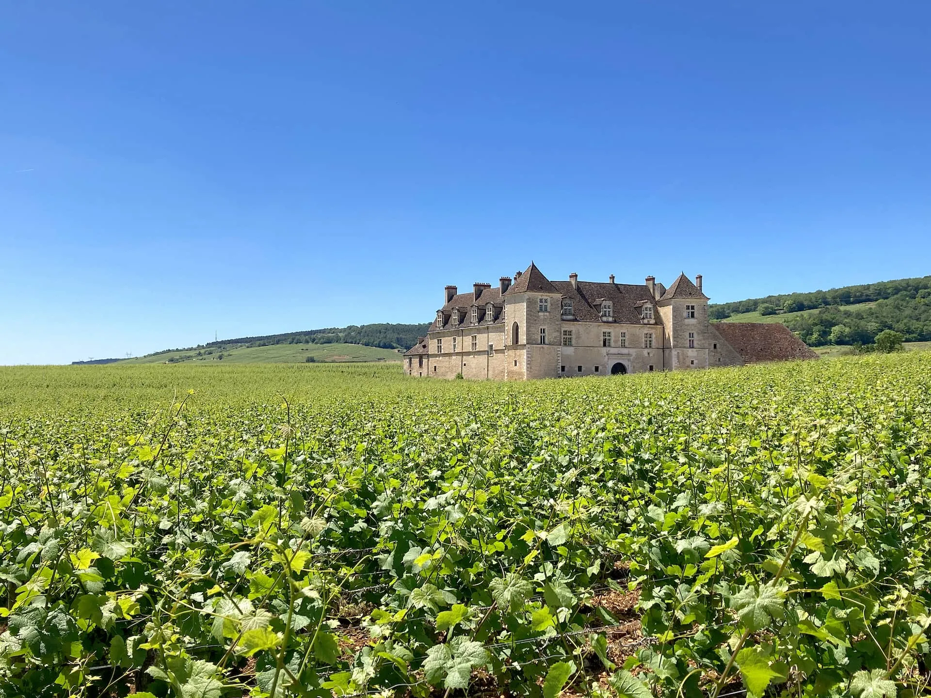 The Clos Vougeot and its vineyards in Burgundy