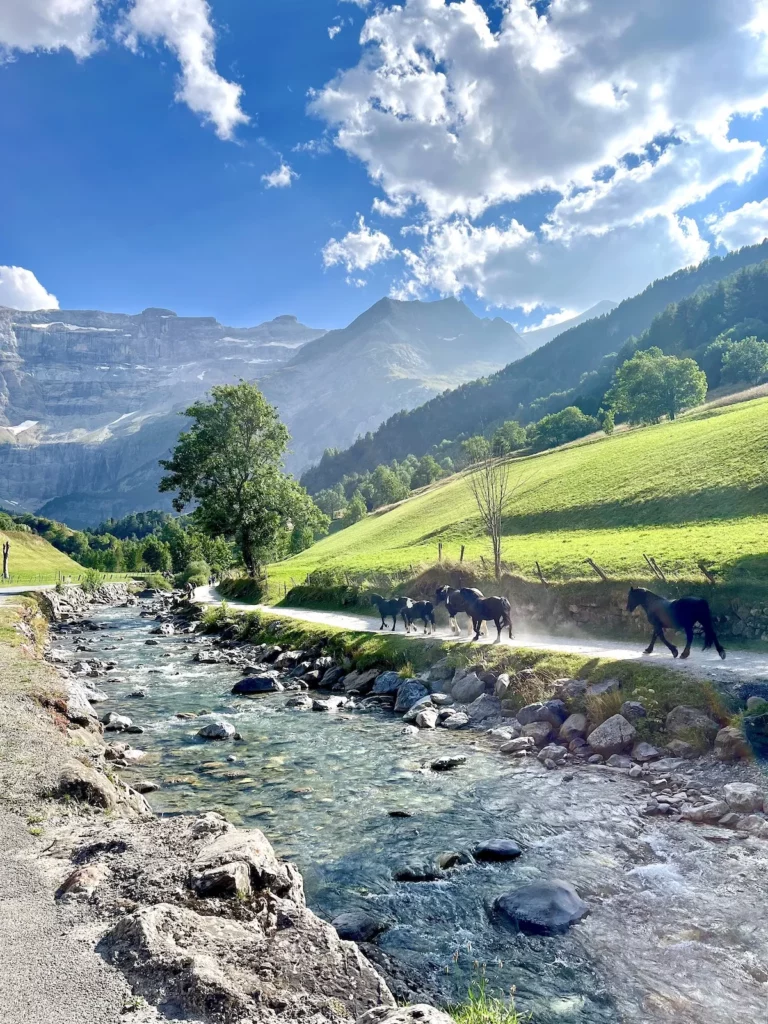 Horses run freely at sunset along a mountain river at the foot of the Gavarnie cirque in the Pyrenees.