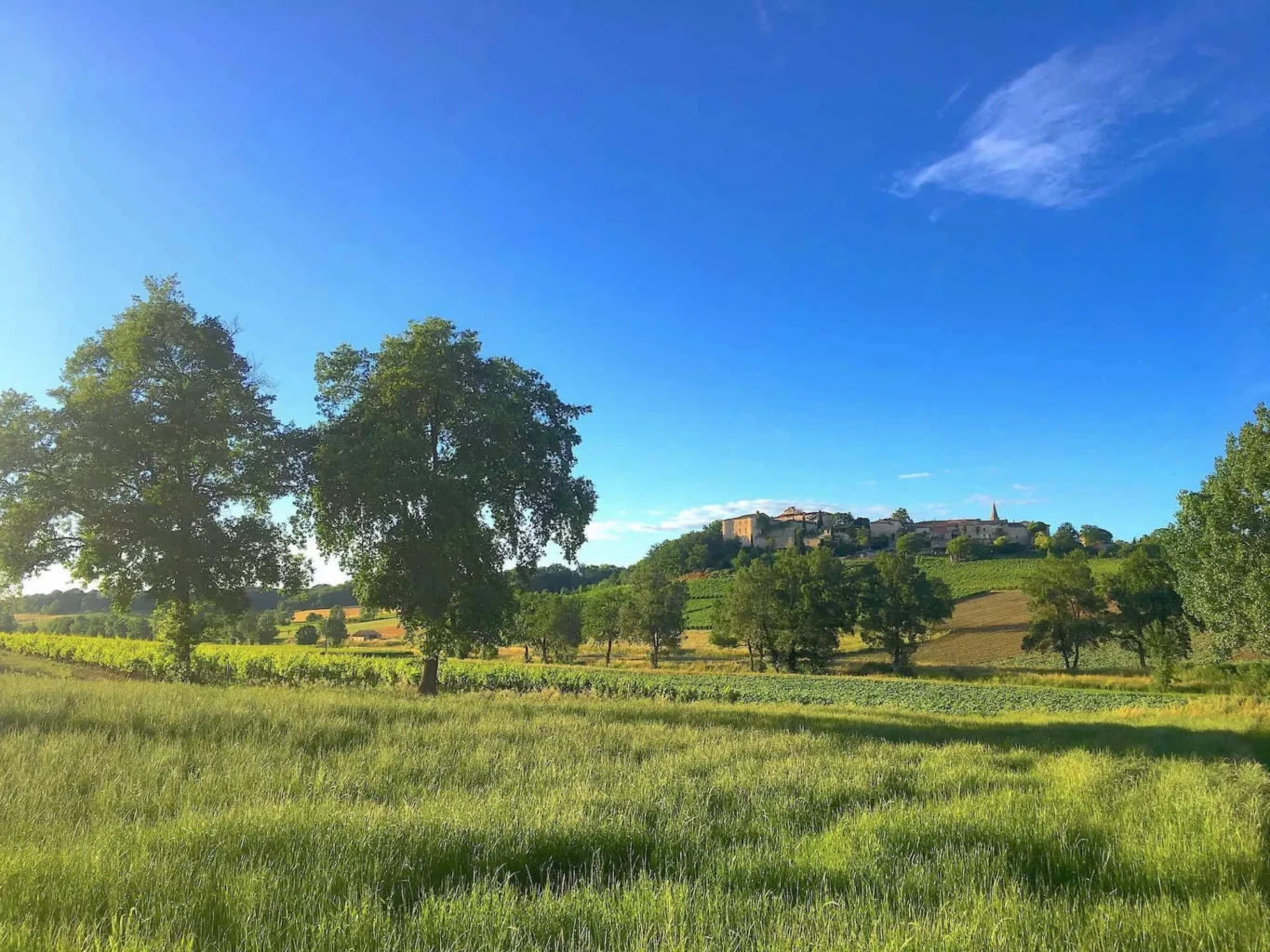Tarn countryside with a hilltop village