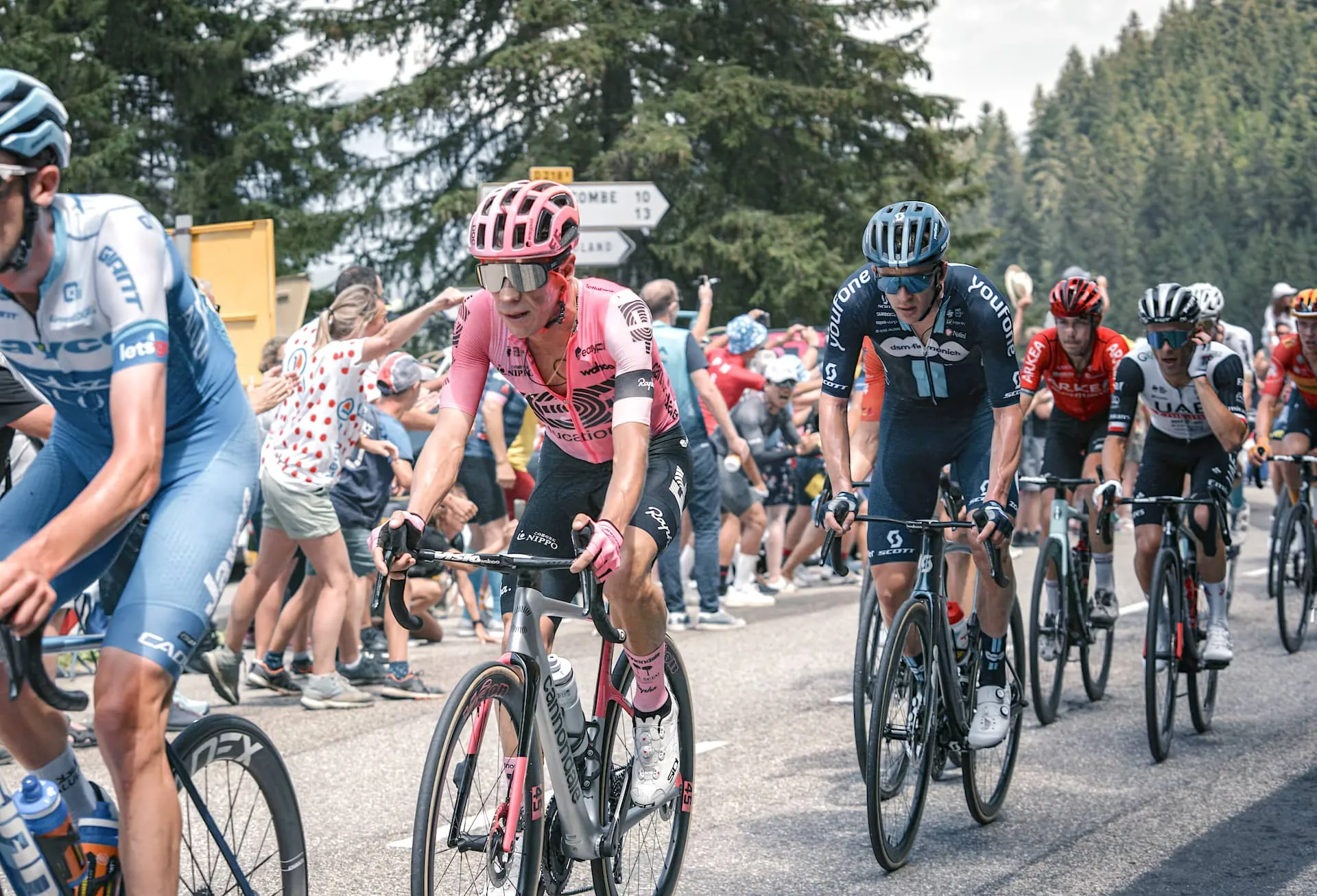 the peloton climbing an Alpine pass during the Tour de France